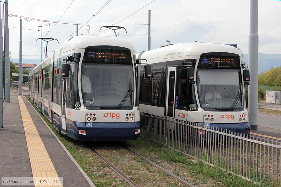 Tram Genève - 869
/ Bild: genf869_cw1208240018.jpg Tram Genève - 869
/ Bild: genf869_cw1208240018.jpg
