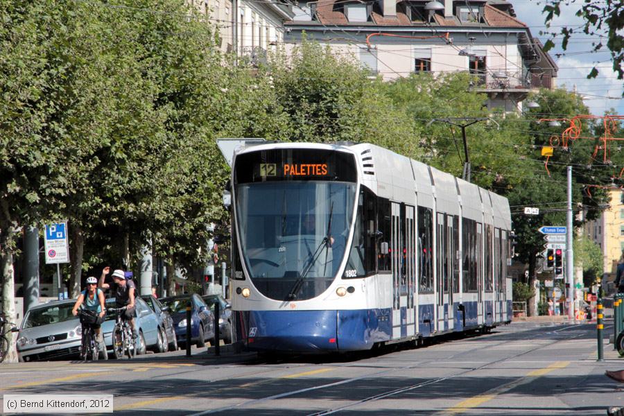 Tram Genève - 1802
/ Bild: genf1802_bk1208260240.jpg Tram Genève - 1802
/ Bild: genf1802_bk1208260240.jpg