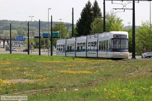 Bild: zuerich3075_bk1804230119.jpg - anklicken zum Vergrößern