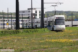 Bild: zuerich3075_bk1804230120.jpg - anklicken zum Vergrößern