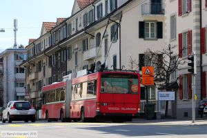 Bild: bern11_bk1804060033.jpg - anklicken zum Vergrößern Bild: bern11_bk1804060033.jpg - anklicken zum Vergrößern