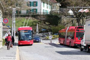 Bild: bern25_bk1804050094.jpg - anklicken zum Vergrößern Bild: bern25_bk1804050094.jpg - anklicken zum Vergrößern
