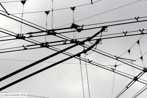 Bild: biel57_bk1610150110.jpg - anklicken zum Vergrößern