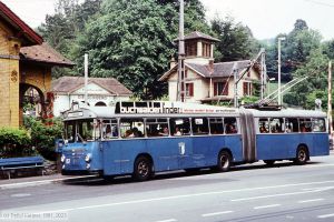 Bild: luzern157_dk022821.jpg - anklicken zum Vergrößern