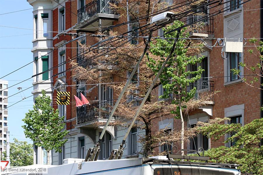 Z&uuml;rich - Trolleybus - 181
/ Bild: zuerich181_bk1804240476.jpg