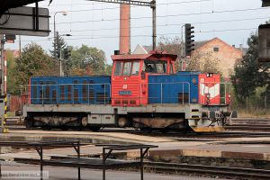 Bild: cd7140296_bk1110200165.jpg - anklicken zum Vergrößern