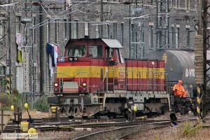 Bild: cd7310295_bk1110200299.jpg - anklicken zum Vergrößern