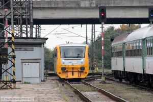 Bild: cd8140089_cw1110200253.jpg - anklicken zum Vergrößern