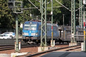 Bild: cd3830049_bk1708080052.jpg - anklicken zum Vergrößern