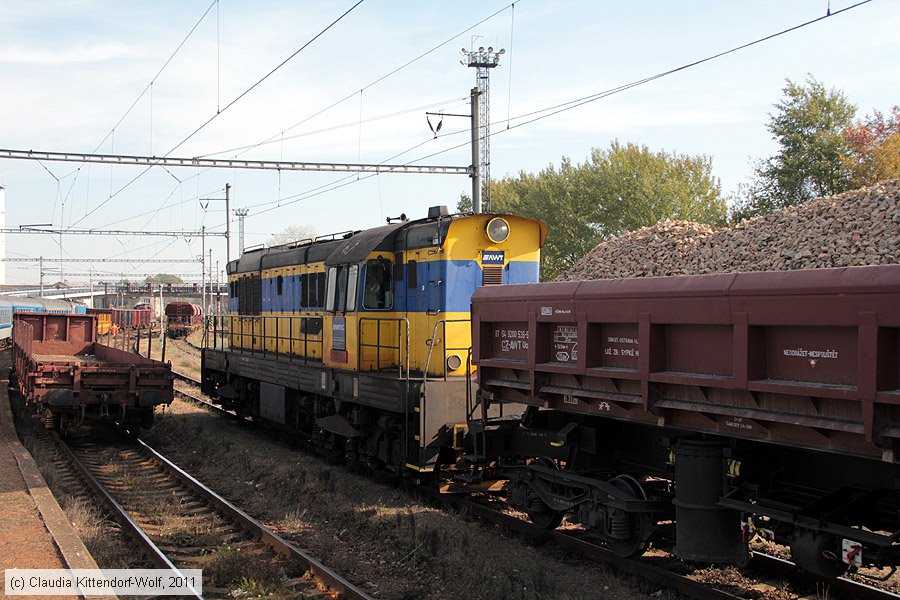 AWT - 771036-1
/ Bild: awt7710361_cw1110180276.jpg