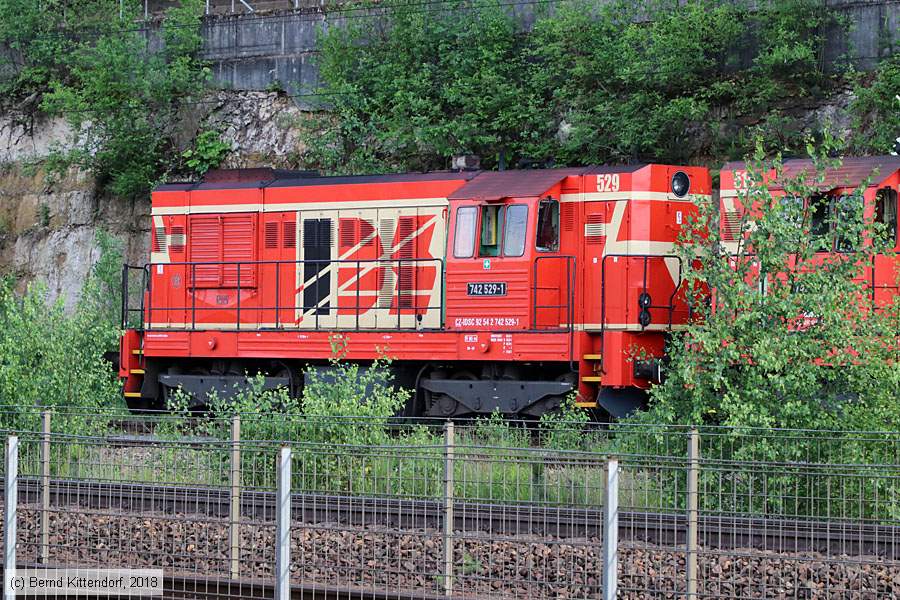 IDS Cargo - 742529-1
/ Bild: idsc7425291_bk1805290224.jpg