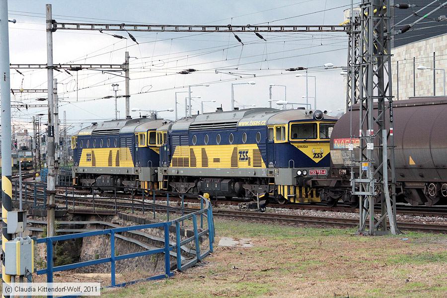 TSS - 753781-4
/ Bild: tss7537814_cw1110190250.jpg