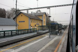 Bild: bflaznekynzvart_bk1110230207.jpg - anklicken zum Vergrößern