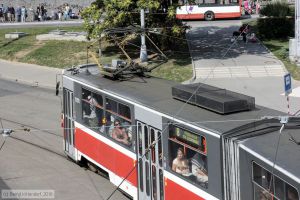Bild: brno1701_bk1608300129.jpg - anklicken zum Vergrößern