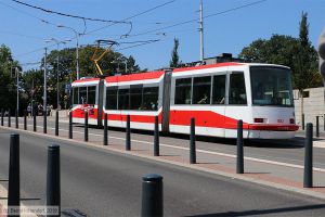 Bild: brno1812_bk1907250111.jpg - anklicken zum Vergrößern