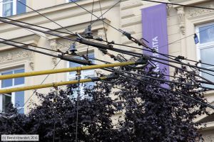 Bild: brno3286_bk1608300639.jpg - anklicken zum Vergr&ouml;&szlig;ern