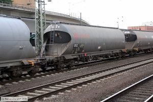 Bild: dermd338093197436_bk1006220368.jpg - anklicken zum Vergrößern