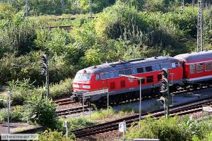 Bild: db2183903_bk0708300006.jpg - anklicken zum Vergr&ouml;&szlig;ern