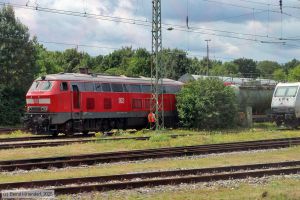 Bild: db2184521_bk2506270216.jpg - anklicken zum Vergr&ouml;&szlig;ern