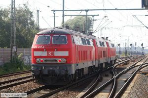 Bild: db2184570_bk0708260147.jpg - anklicken zum Vergrößern