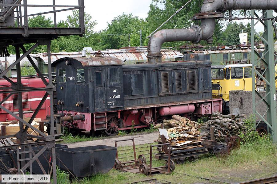 Deutsche Museums-Eisenbahn - V36 411
/ Bild: dieselv36411_bk0605280192.jpg