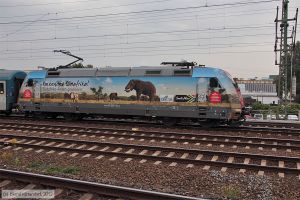Bild: db1010875_bk1208160320.jpg - anklicken zum Vergrößern Bild: db1010875_bk1208160320.jpg - anklicken zum Vergrößern