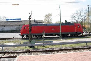 Bild: db1450766_bk1004090063.jpg - anklicken zum Vergrößern Bild: db1450766_bk1004090063.jpg - anklicken zum Vergrößern