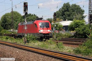 Bild: db1820190_cw0807140076.jpg - anklicken zum Vergrößern