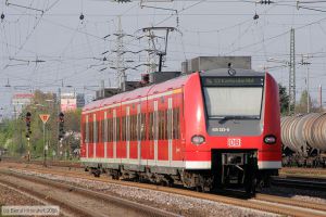 Bild: db4252235_bk0804240003.jpg - anklicken zum Vergrößern