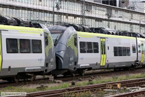 Bild: agilis14637045_bk2506270156.jpg - anklicken zum Vergr&ouml;&szlig;ern