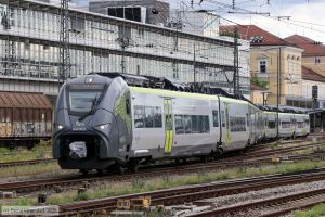 Bild: agilis14632053_bk2506270152.jpg - anklicken zum Vergr&ouml;&szlig;ern