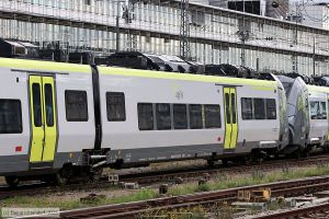 Bild: agilis14637052_bk2506270155.jpg - anklicken zum Vergr&ouml;&szlig;ern