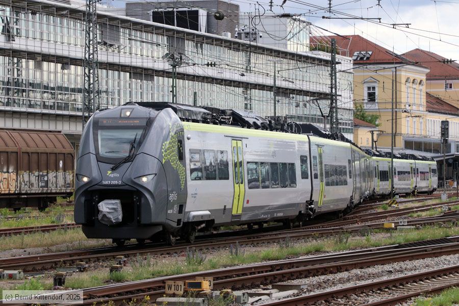 Agilis - 1463 205
/ Bild: agilis14632053_bk2506270152.jpg