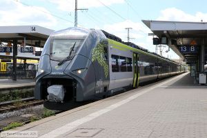 Bild: agilis14637136_bk2506280195.jpg - anklicken zum Vergr&ouml;&szlig;ern