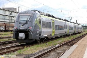 Bild: agilis14632236_bk2506270117.jpg - anklicken zum Vergr&ouml;&szlig;ern