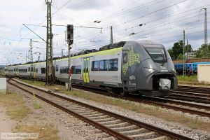 Bild: agilis14637235_bk2506270113.jpg - anklicken zum Vergr&ouml;&szlig;ern