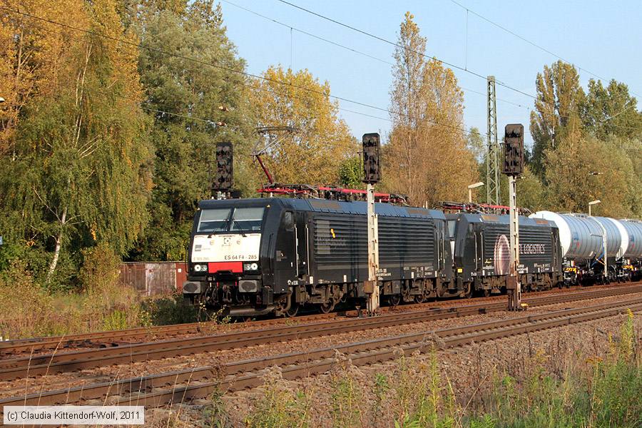 Dispolok - ES 64 F4-285
/ Bild: dispolokes64f4285_cw1110040215.jpg