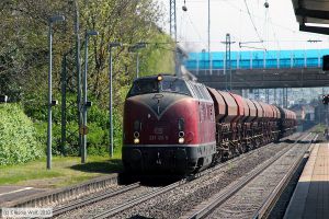 Bild: efw2211225_cw1004220142.jpg - anklicken zum Vergrößern