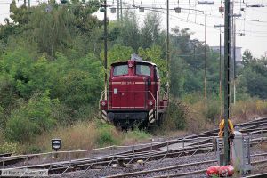 Bild: efw2603116_bk1108230007.jpg - anklicken zum Vergr&ouml;&szlig;ern