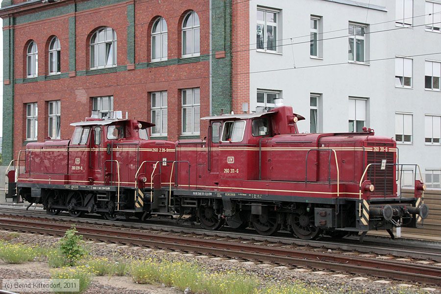 EfW - 260311-6
/ Bild: efw2603116_bk1108050066.jpg