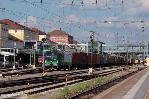 Bild: eloc193227_bk1506240445.jpg - anklicken zum Vergrößern