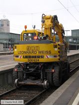 Bild: leonhardweiss500624_cw008348.jpg - anklicken zum Vergrößern Bild: leonhardweiss500624_cw008348.jpg - anklicken zum Vergrößern