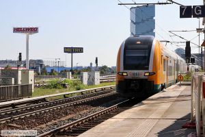 Bild: odeg34620021_bk2309080059.jpg - anklicken zum Vergrößern