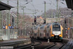 Bild: odeget445105_bk1402210016.jpg - anklicken zum Vergrößern