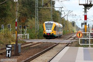 Bild: odegvt646041_bk1810240058.jpg - anklicken zum Vergrößern