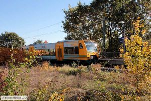 Bild: odegvt65069_bk1210190116.jpg - anklicken zum Vergrößern Bild: odegvt65069_bk1210190116.jpg - anklicken zum Vergrößern