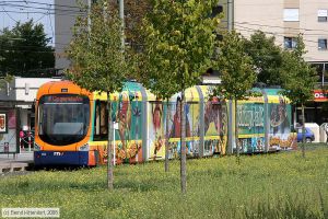 Bild: oeg133_bk0809020012.jpg - anklicken zum Vergrößern Bild: oeg133_bk0809020012.jpg - anklicken zum Vergrößern