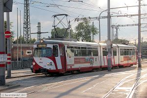 Bild: rnv4104_bk1108190034.jpg - anklicken zum Vergrößern