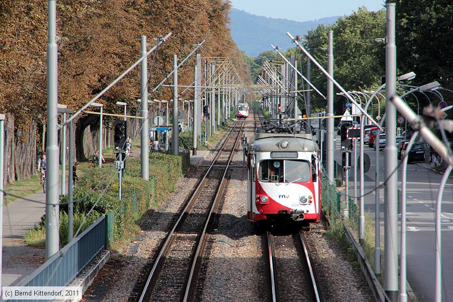 RNV - 4109
/ Bild: rnv4109_bk1109060030.jpg RNV - 4109
/ Bild: rnv4109_bk1109060030.jpg