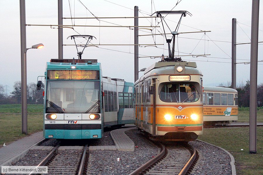 Rhein-Haardtbahn - 1017
/ Bild: rhb1017_bk1011280331.jpg